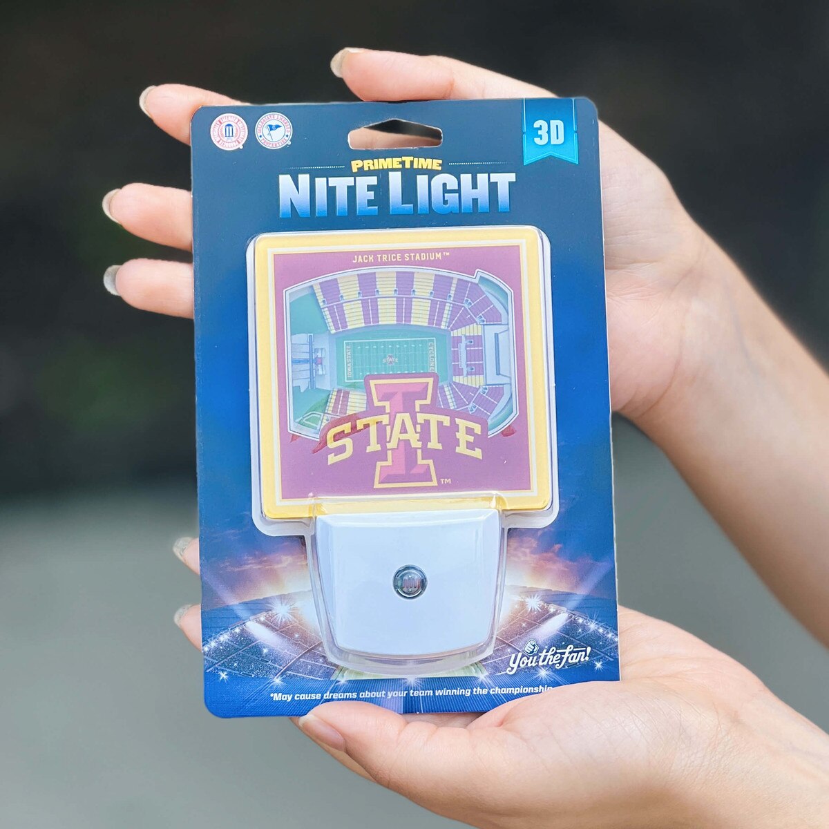 I-State Stadium View Plug In Night Light